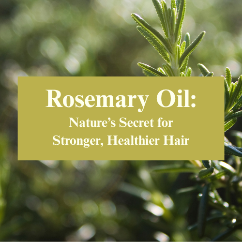 Rosemary Oil: Nature’s Secret for Stronger, Healthier Hair - Zo’Nanos