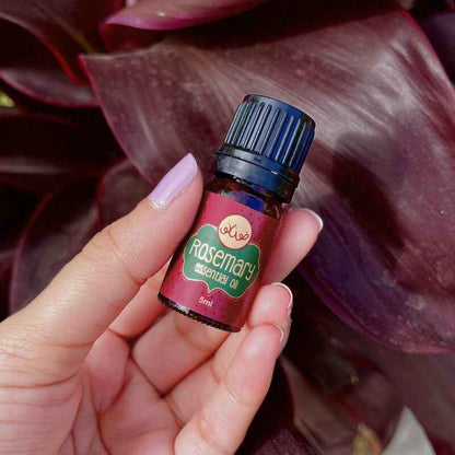 Rosemary Essential Oil